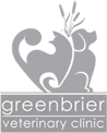 Greenbrier Emergency Vet