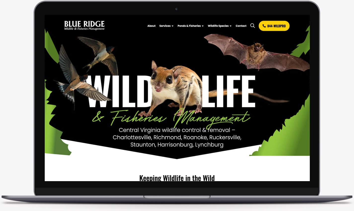 My Wildlife Pros website design
