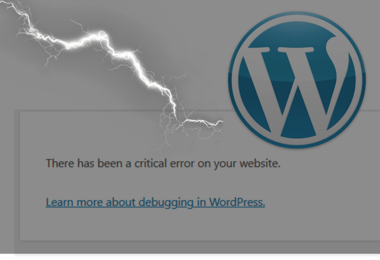 Warning sign of wordpress catastrophic issue on website.